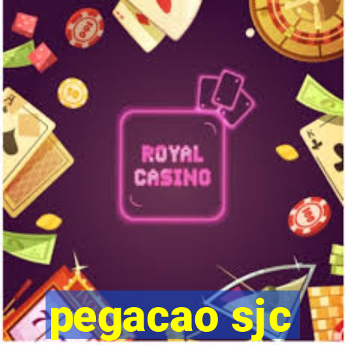 pegacao sjc